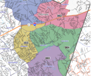 Mulberry's council districts.