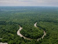 The Ocmulgee River curls around Ocmulgee Mounds